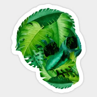 Plant Phrenology Skull - forgotten foliage Sticker